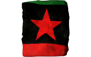 Bush Wookies flag