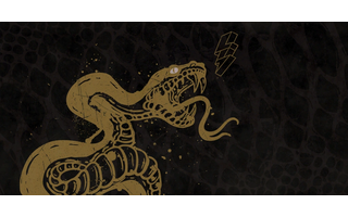 DEMON CO flag
